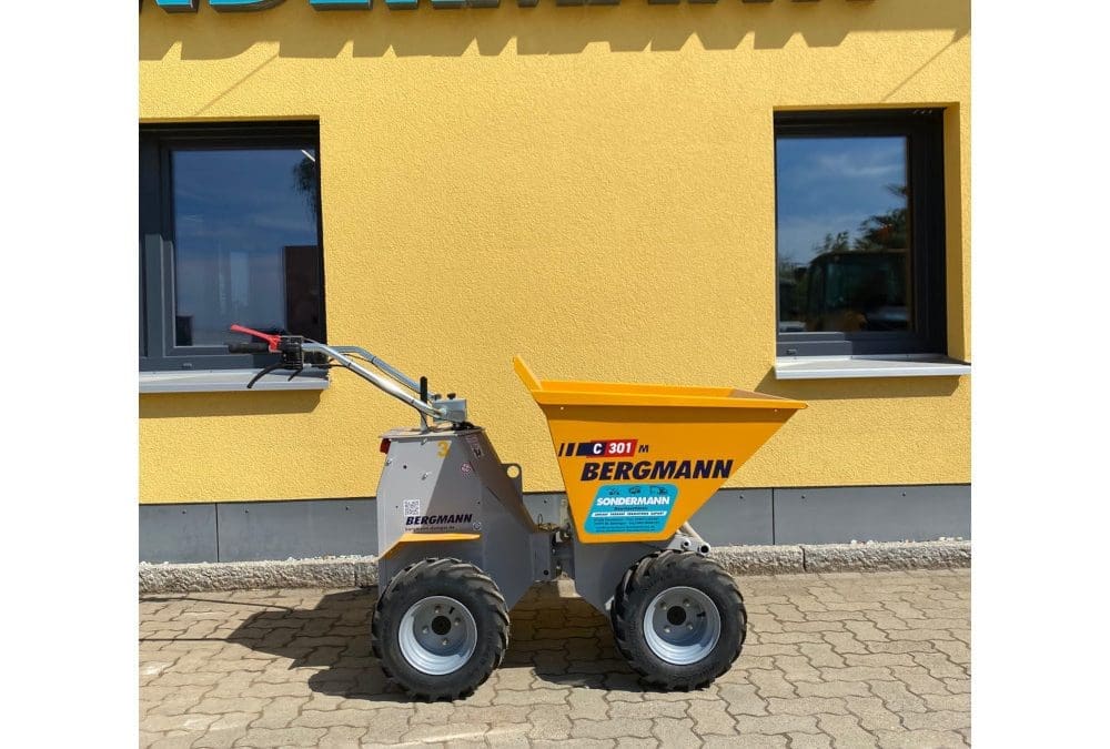 Bergmann C301 Elektrodumper