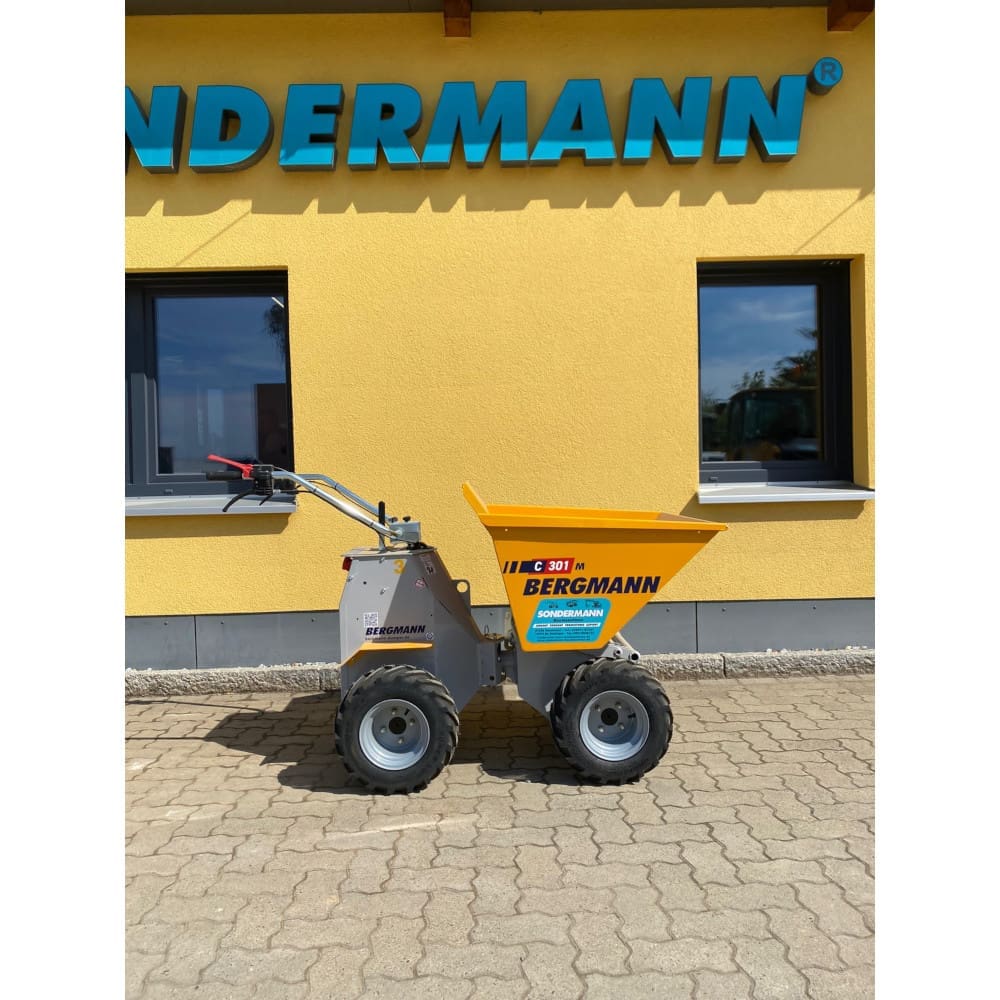 Bergmann C301_4